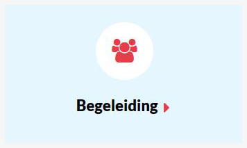 Begeleiding